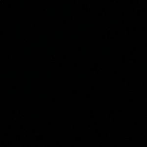 Meet your Posher, Lindy